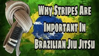 Why Stripes Are Important In Brazilian Jiu-jitsu- Still Rolling - Gracie Barra