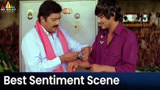 Prakash Raj & Varun Sandesh Emotional Scene | Kotha Bangaru Lokam Movie Scenes@SriBalajiMovies