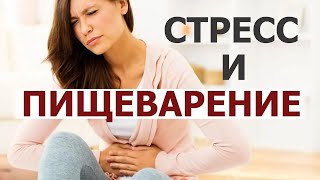 Стресс вызывает нарушение пищеварения в желудке, кишечнике. Комплексный приём пищи на фоне стресса.