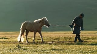 Beautiful grassland of Mongolia モンゴルの美しい草原 2015夏