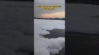 Chhath pooja se phle ye hua yamuna Nadi ka haal behaal #chhath #chhathpuja #bihari #shorts #viral