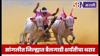 SBN MARATHI LIVE TV | मुख्यमंत्री केसरी भव्य जनरल बैलगाडी, घोडागाडी व सिंगल घोडा स्पर्धा