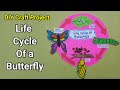 How to make Life cycle of a Butterfly Model | science model | easy cardboard projects