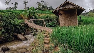 Kampung Terujung Di Kelilingi Sawah Indah, Banjarwangi. Suasana Pedesaan Jawa Barat, Garut Selatan