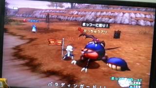 dqx 必殺パラディン編