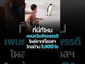 ที่นี่ที่ไหน เพนกวินจักรพรรดิโผล่หาดที่ออสฯ ไกลบ้าน 3,400 กม. #สัตว์โลกน่ารัก #เหมียวสามสี #CatDumb