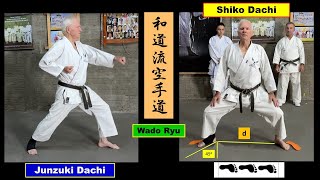 Junzuki Dachi \u0026 Shiko Dachi Wado Ryu