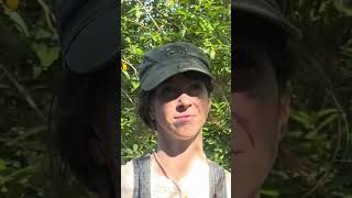 NR-320 Watershed Video Project Spring 26