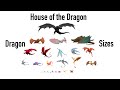 Which Dragon is the biggest? | HotD Dragon Sizes | House of the Dragon