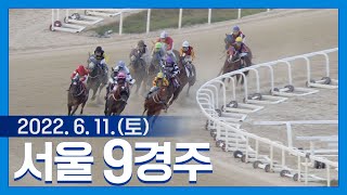 (서울) 22.06.11.9R 빅투 꺾은 다빈, 결승선 코앞 치열한 2등급 싸움!