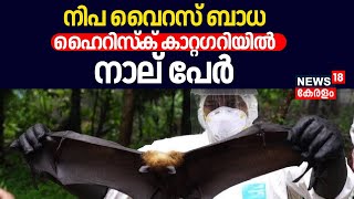 Nipah Virus In Kerala | നിപ വൈറസ് ബാധ; ഹൈറിസ്ക് കാറ്റ​ഗറിയിൽ നാല് പേർ | Nipah Viras| Veena George