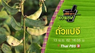 ถั่วแปจี : ภัตตาคารบ้านทุ่ง (13 เม.ย. 62)