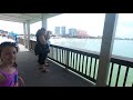 beach hopper what to expect at pier 60 and clearwater beach florida a.k.a back to the beaches