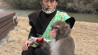 らん丸🐵君は、お昼御飯中でした。🤩　二助企画