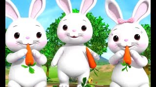 Chú Thỏ Con 🐇 Chú Vịt Con 🦆 Nhạc Thiếu Nhi Vui Nhộn - Mẹ Ơi Tại Sao
