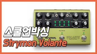 스쿨언박싱 - Strymon Volante / 마그네틱 에코 머신