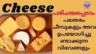 Different Types Of Cheeses And Their Uses | വ്യത്യസ്‌തതരം ചീസുകൾ | Cheese Information In Malayalam