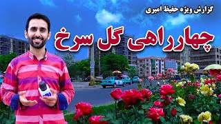 Gul Sorkh Square in Hafiz Amiri Report / چهارراهی گل سرخ در گزارش حفیظ امیری