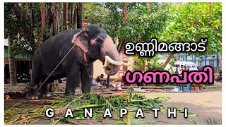 ഉണ്ണിമങ്ങാട് ഗണപതി | kerala elephant