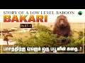 Bakari | பாசத்திற்கு ஏங்கும் ஒரு பபூன் குரங்கின் கதை | Story of low level baboon | Tamil | BioWorld