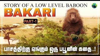 Bakari | பாசத்திற்கு ஏங்கும் ஒரு பபூன் குரங்கின் கதை | Story of low level baboon | Tamil | BioWorld