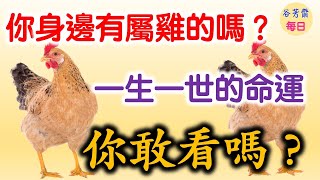 你身邊有屬雞的嗎？一生一世的命運，你敢看嗎？