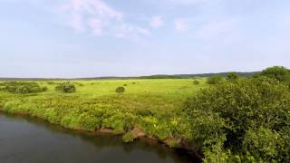 ひでぴょん 北海道、釧路湿原をドローンで４K空撮 (BGM)