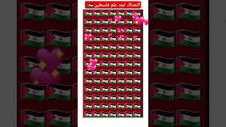 أين علم فلسطين