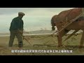 【西藏风光】羊卓雍错【 scenery of tibet 】yamdrok lake