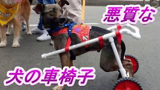 良い「犬の車椅子」の条件 ①