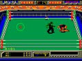 play robo wres 2001