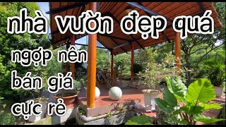 chuẩn bị định cư nước ngoài, anh nguyện cần bán mãnh vườn nghĩ dưỡng đã hoàn thiện