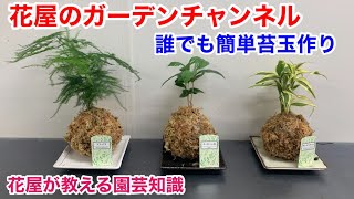 【苔玉】誰でも簡単苔玉作り！