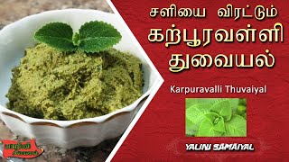 கற்பூரவள்ளி துவையல்/karpuravalli Thuvaiyal in tamil/Omavalli Thuvaiyal / Cold,cough remedy for kids