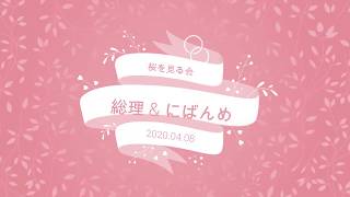 緊急事態宣言で外へ出歩けない方へ桜を見る会