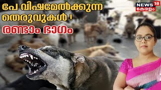 Parayanund LIVE : പേ വിഷമേൽക്കുന്ന തെരുവുകൾ | Stray Dog Attack In Kerala |Rabies Death | Kerala News