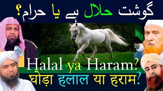 Ghoda (Horse) ka Gosht Halal ya Haram? | Kya Ghorey ka gosht (Horse meat) Halal hai?