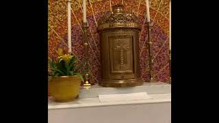 How to Set up a Sacristy