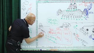 dr najeeb pathology lectures