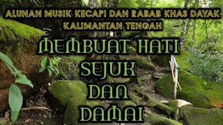 ALUNAN MUSIK KECAPI DAN RABAB KHAS DAYAK KALIMANTAN TENGAH || MEMBUAT HATI SEJUK DAN DAMAI