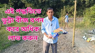 ভুট্টা চাষের পদ্ধতি।।Corn cultivation।।