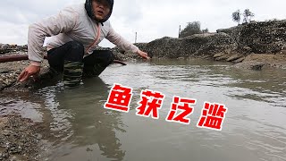 10米长的100平海峡沟水花直冒，抽干竟发现坑底鱼获泛滥，好刺激