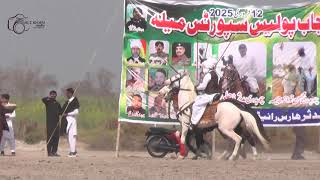 Neza Bazi in Pakistan ALL PHUNJAB SHODYY SPORTS MALLA NAZA BAZI 12-2-2025