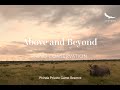 Above and Beyond | Rhino Conservation | Phinda - The Return