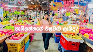 මම Market ගිහින් ගෙදරට ගත්ත දේවල් 🌼 | My Market day in Bangkok | Thailand | Life in Bangkok