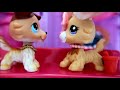 lps cat napped film