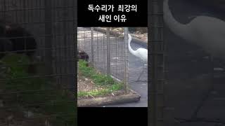 페이커급 반응속도