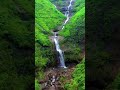 Waterfall near Mumbai 😊🏞️🤗☺️| Bhivpuri waterfall Mumbai.