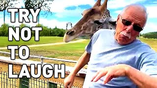 AFV Live NON-STOP LAUGHTER || Try Not To Laugh 🤣 AFV Live 🔴