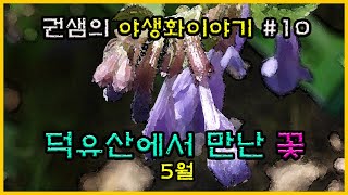 권샘의 야생화 이야기 #10 [덕유산에서 만난 꽃]